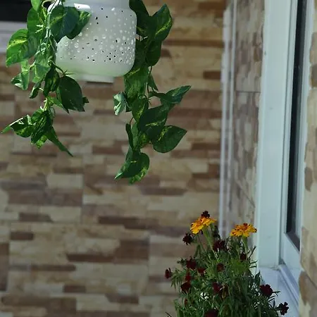 Гостевой дом Welcome Family Guest House Лиссабон